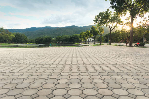 Best Commercial Driveway Pavers  in Daytona Beach Shores, FL